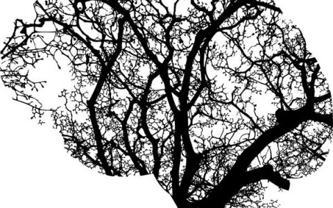 Vous avez dit Naturopathie & Ayurveda ?