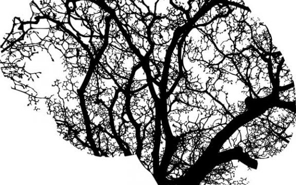 Vous avez dit Naturopathie & Ayurveda ?