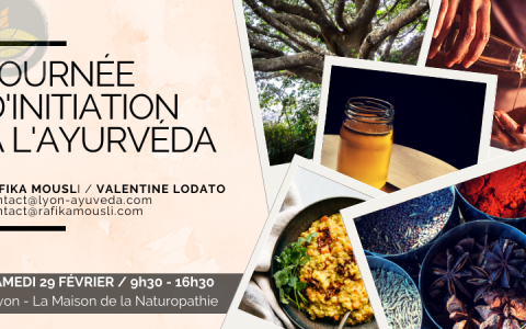 Découvrir l’Ayurveda en pratique